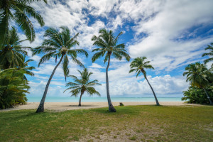 A Cocos Island Beach, Complete With Palm Trees